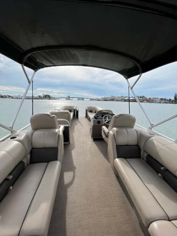 Madeira Beach: 1.5 Hour Dolphin Excursion - Key Points