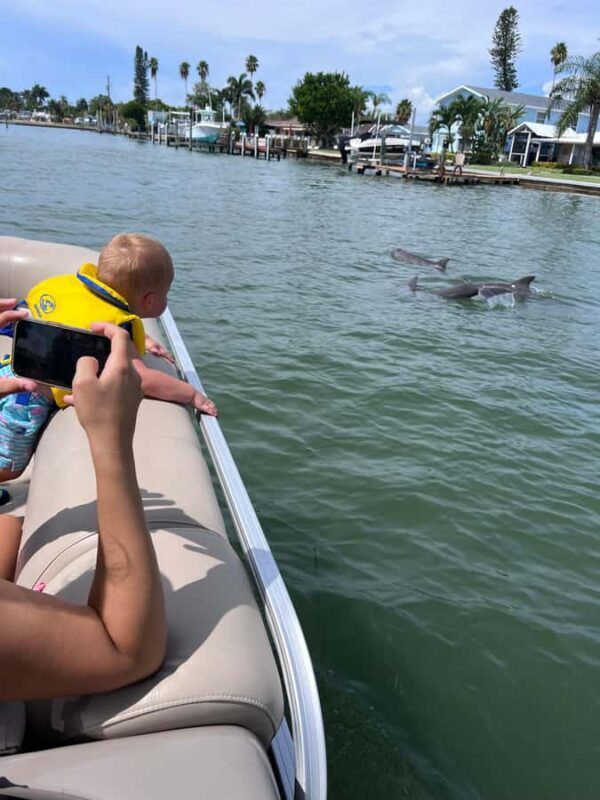 Madeira Beach: 1.5 Hour Dolphin Excursion - Why Travelers Love It