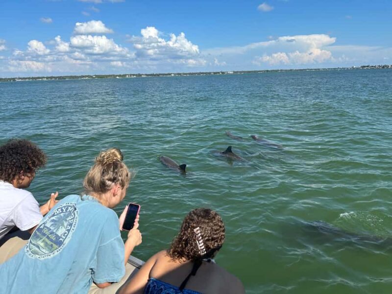 Madeira Beach: 1.5 Hour Dolphin Excursion - Who Would Enjoy This Tour?