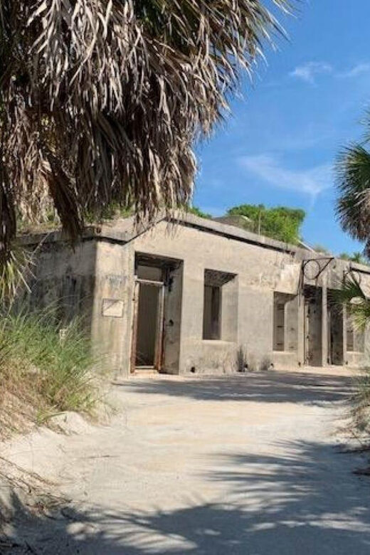 Madeira Beach: Egmont Key Snorkeling and Dolphin Cruise - Who Should Consider This Tour?