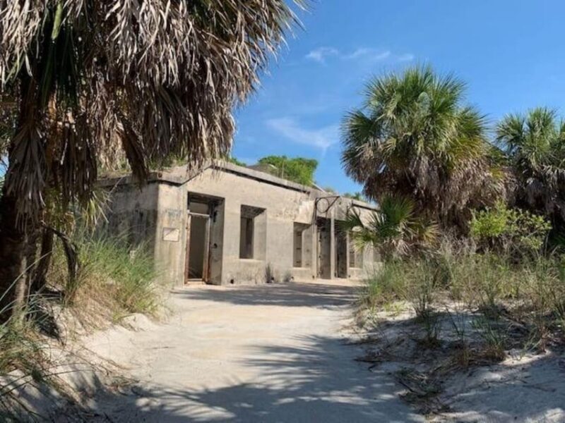 Madeira Beach: Egmont Key Snorkeling and Dolphin Cruise - The Experience in Detail
