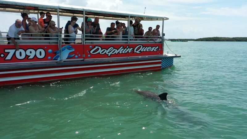 Madeira Beach: Guided Dolphin Watching Eco-Friendly Cruise - Exploring What to Expect on the Dolphin Cruise