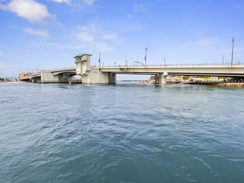 Madeira Beach: Guided Dolphin Watching Eco-Friendly Cruise - Practical Details for a Smooth Experience