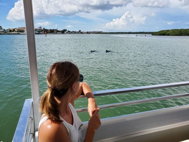 Madeira Beach: Guided Dolphin Watching Eco-Friendly Cruise - Final Thoughts