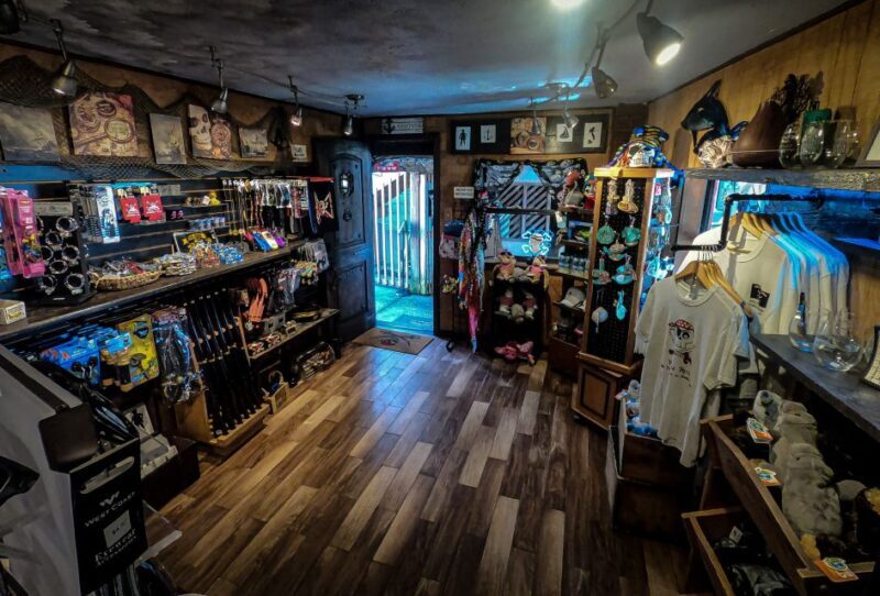 Madeira Beach: Pirate Adventure Cruise - An Overview of the Madeira Beach Pirate Adventure Cruise