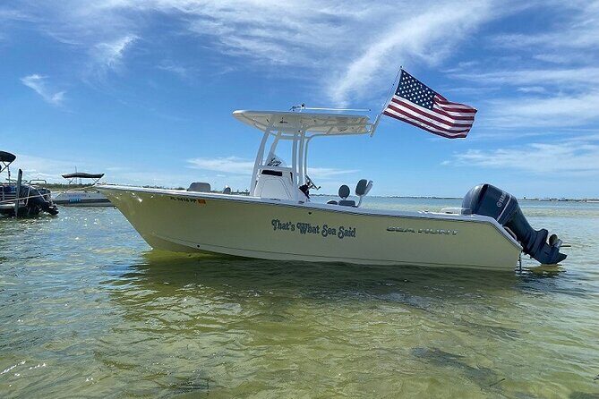 Madeira Beach - Shell Key - Dolphins - Half Day Private Boat Tour - An In-Depth Look at the Tour Experience
