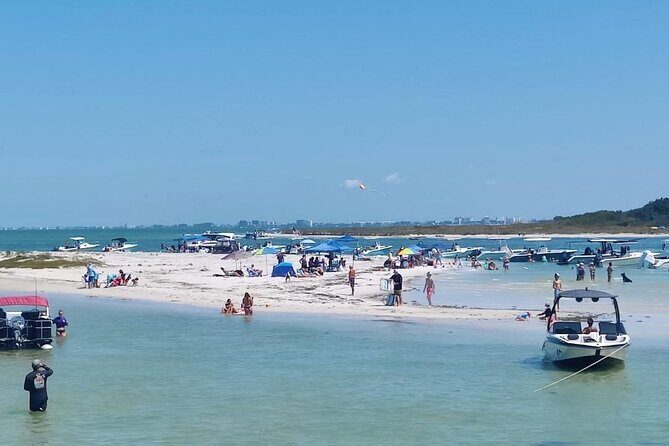 Madeira Beach - Shell Key - Dolphins - Half Day Private Boat Tour - Final Thoughts: Is This Tour Worth It?