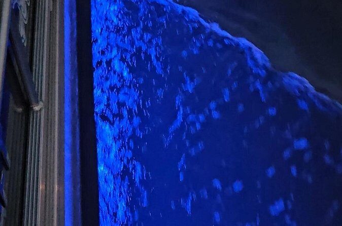 Madeira Beach Sunset Cruise Family Fun on Clean Boat - A Deep Dive into the Madeira Beach Sunset Cruise Experience