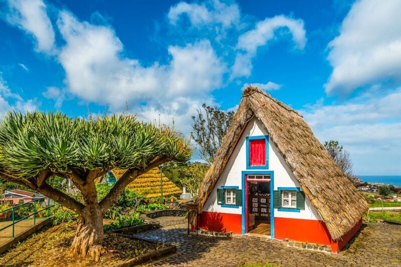 Madeira: Best of the East Tour from Funchal - Key Points