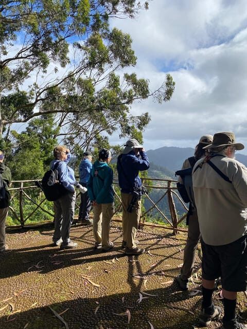 Madeira: Birdwatching - The Endemics - Who Should Consider This Tour?