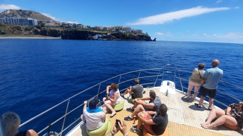 Madeira: Boat Trip with Lunch, Drinks, and Hotel Transfer - Who Should Book This Tour?