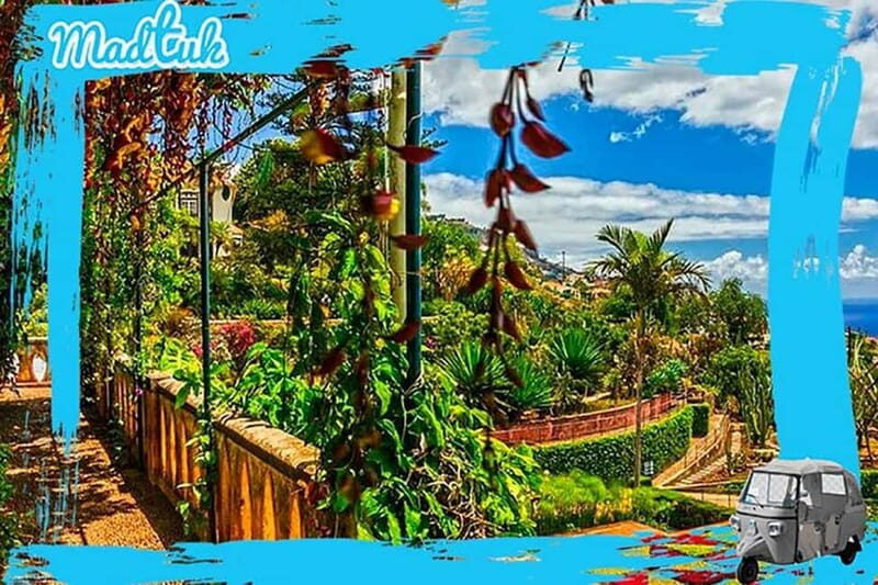 Madeira: Botanical Gardens + Old Town Tuk-Tuk Tour by MadTuk - Whats Included and Whats Not
