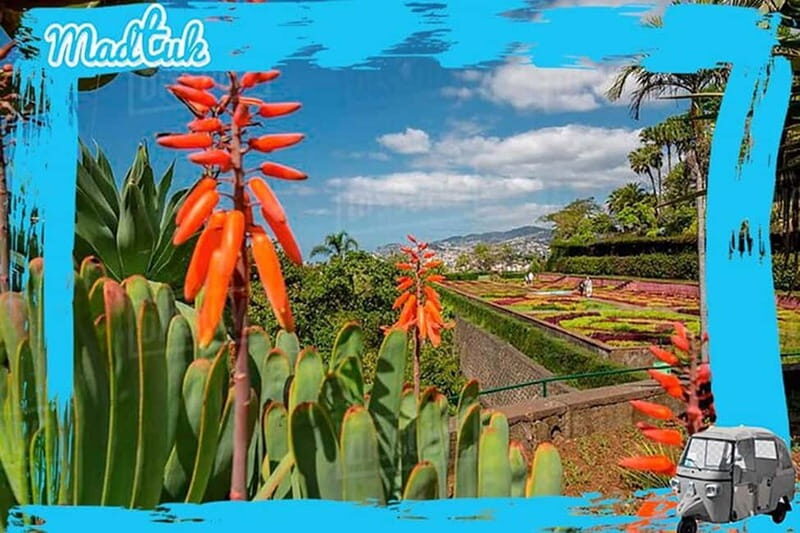 Madeira: Botanical Gardens + Old Town Tuk-Tuk Tour by MadTuk - What Our Reviewers Say