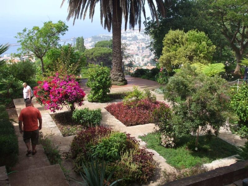 Madeira: Botanical, Monte Palace, and Palheiro Gardens - A Deep Dive into Madeira’s Botanical Treasures