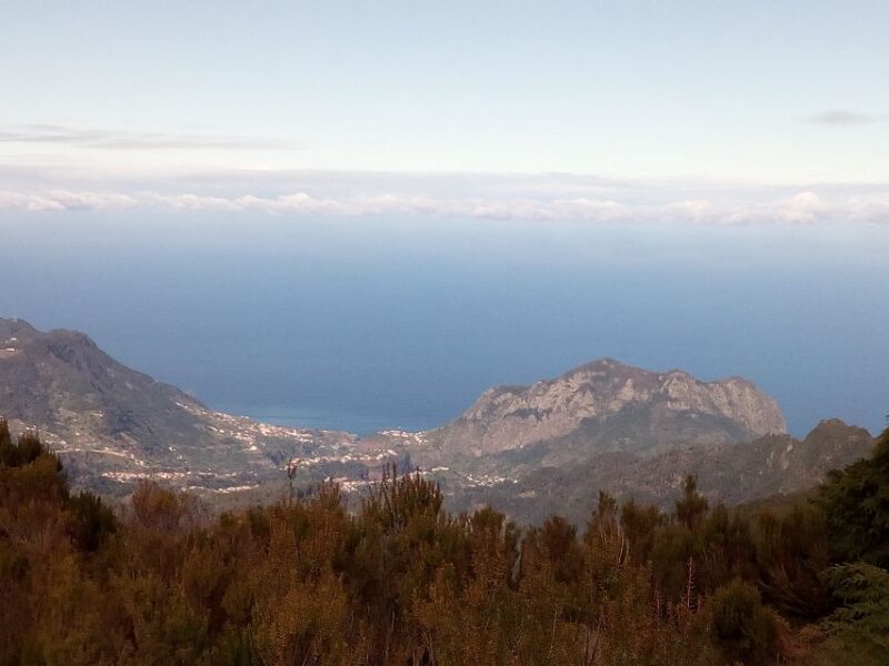 Madeira by Sidecar: 5-Hours Old Roads to Calheta Tour - Who Is This Tour Best For?