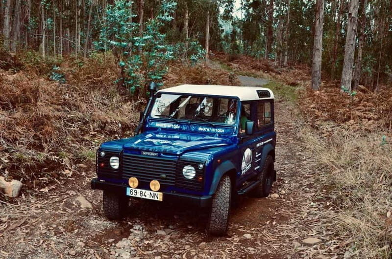 Madeira: Câmara de Lobos and Cabo Girão:Unforgettable adventure 4*4:duration3,5h - What to Expect from the Madeira Jeep Tour