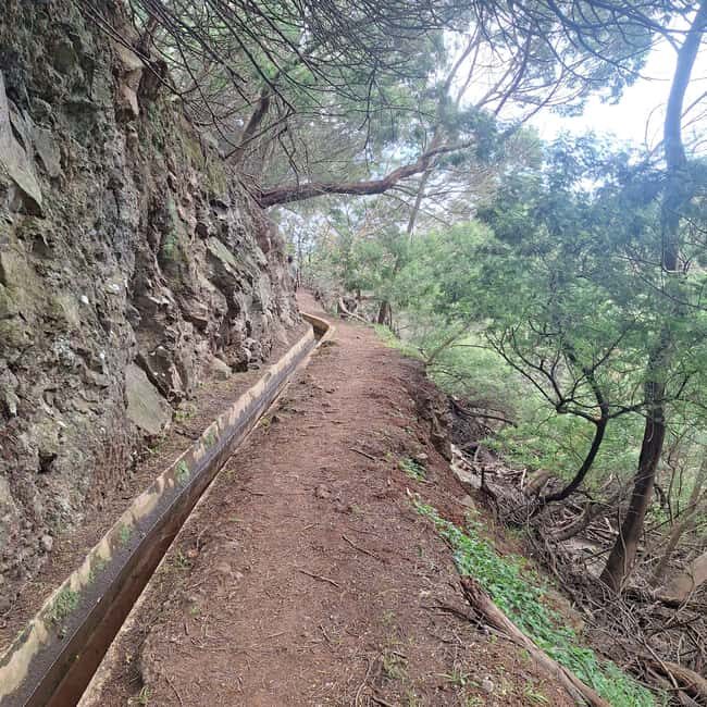 Madeira: Caniçal Levada Walk with Poncha Tasting - FAQs