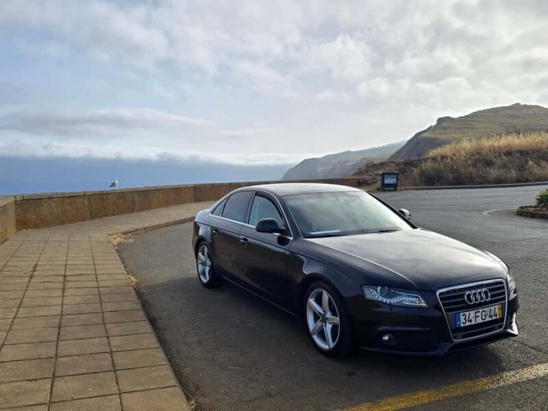 Madeira: Comfortable private tour with views and local guide (up to 4 people) - What Travelers Say