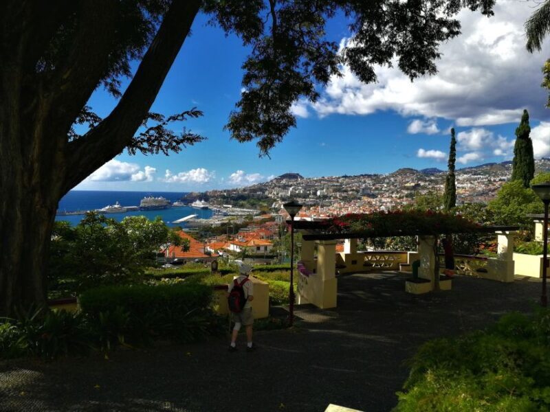 Madeira: Customized 3, 4 or 6-Hour Tour - Who Should Book This Tour?