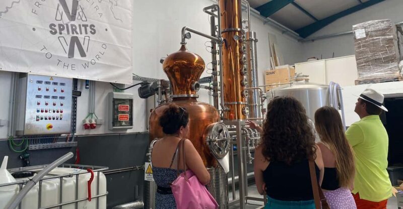 Madeira: Distilleries - Authenticity and Value: What We Think