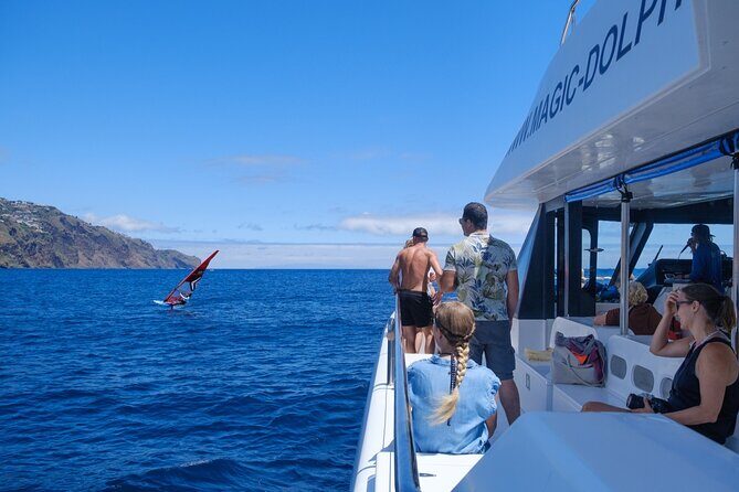 Madeira Dolphin and Whale Watching on a Ecological Catamaran - Practical Details and Tips