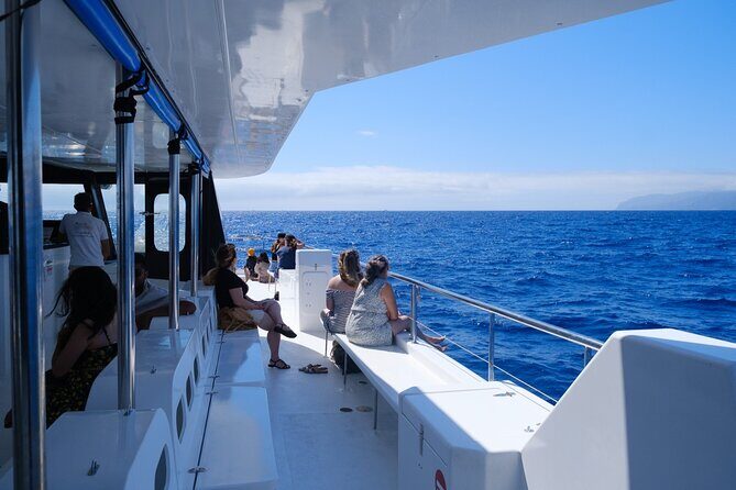 Madeira Dolphin and Whale Watching on a Ecological Catamaran - The Sum Up