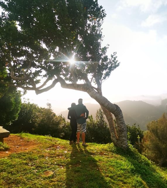 Madeira E-Buggy Adventure: 4x4 thrill & epic views! Book now - Whats Included and Whats Not
