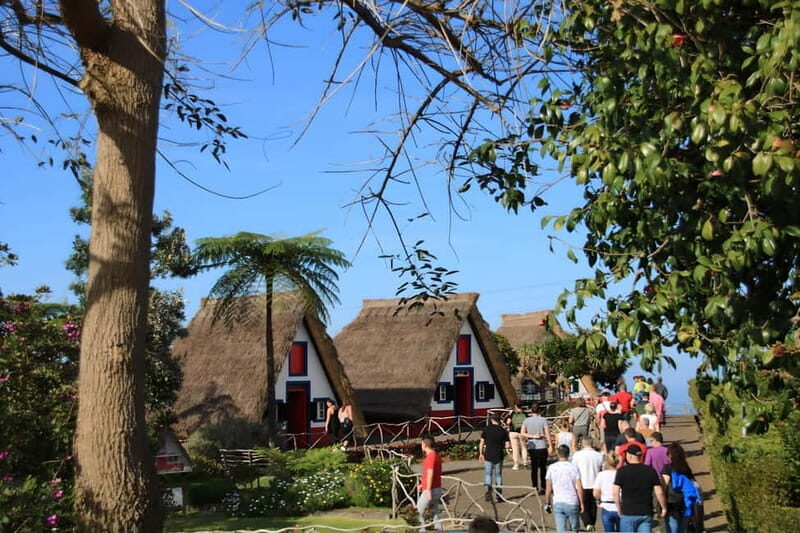 Madeira: East Coast Cabriolet Road Trip - A Deep Dive into Madeira’s East Coast Cabriolet Tour