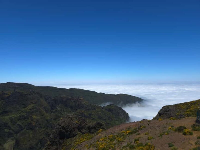 Madeira: East Island Tour with Rum Tasting - Madeira: East Island Tour with Rum Tasting – A Detailed Look