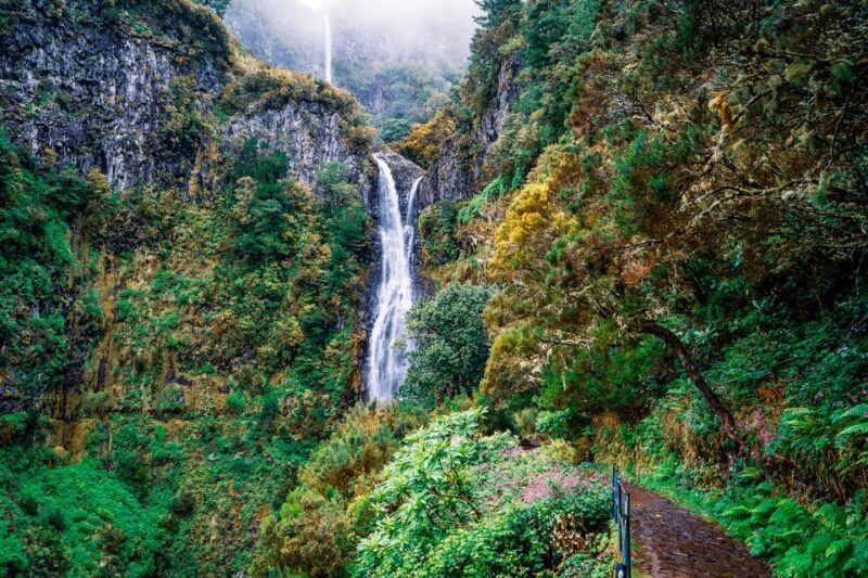 Madeira: Enjoy a Guided Levada Walk in the Rabaçal Valley - Key Points