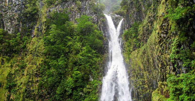 Madeira: Enjoy a Guided Levada Walk in the Rabaçal Valley - An In-Depth Look at the Rabaçal Levada Walk