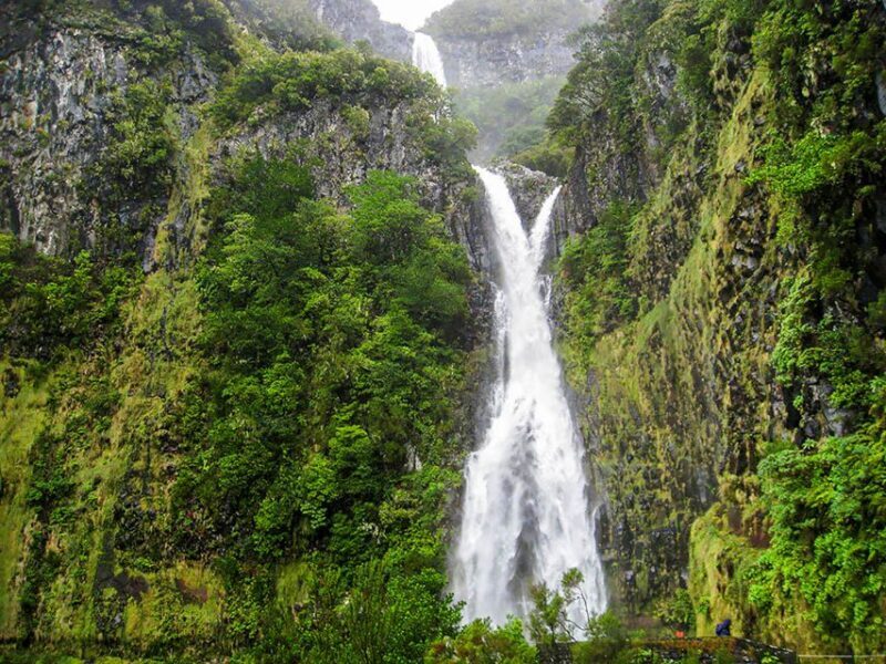 Madeira: Enjoy a Guided Levada Walk in the Rabaçal Valley - Who Will Love This Tour?