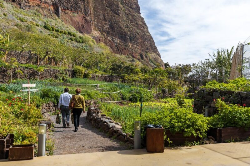 Madeira: Faja dos Padres Private Sightseeing Tour - The Value and Practicalities