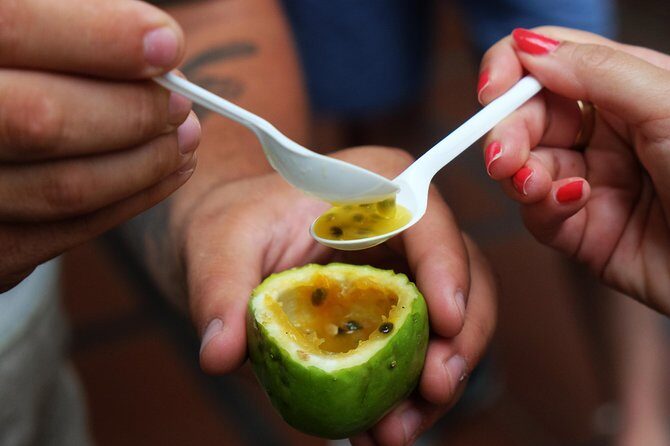 Madeira Food, Wine & Cultural Tour - Practical Tips for Participants