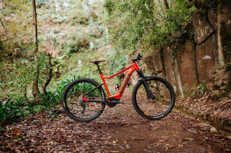Madeira: Full Day E-Bike Rental - An In-Depth Look at the Madeira E-Bike Experience