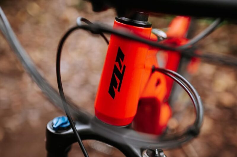 Madeira: Full Day E-Bike Rental - Why This E-Bike Rental Offers Great Value