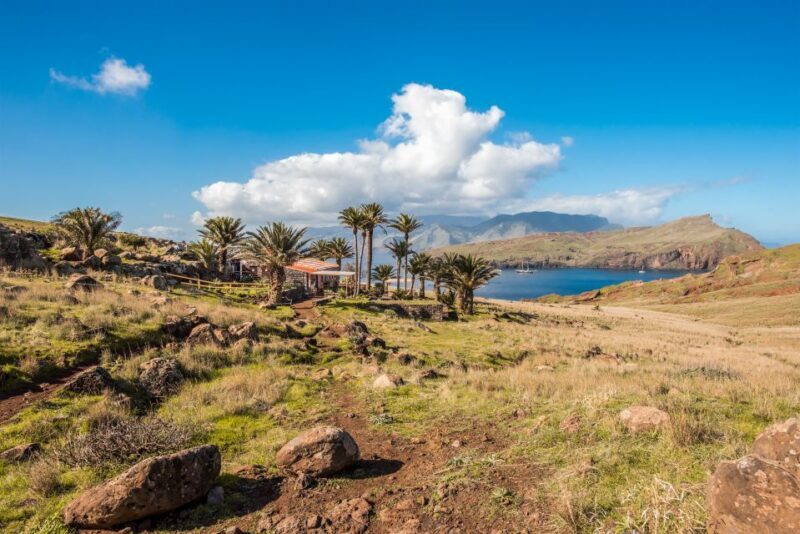 Madeira: Full-Day of Activities in Ponta de São Lourenço - Who Should Consider This Tour?