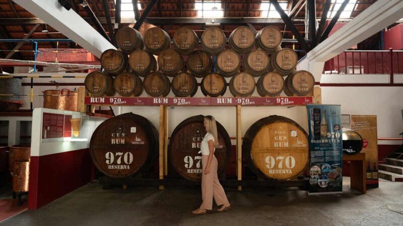 Madeira Funchal:East Tour Pico Arieiro & Santana&Laurissilva - The Sum Up