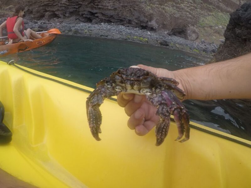 Madeira: Garajau Nature Reserve Kayak and Snorkel Tour - FAQ