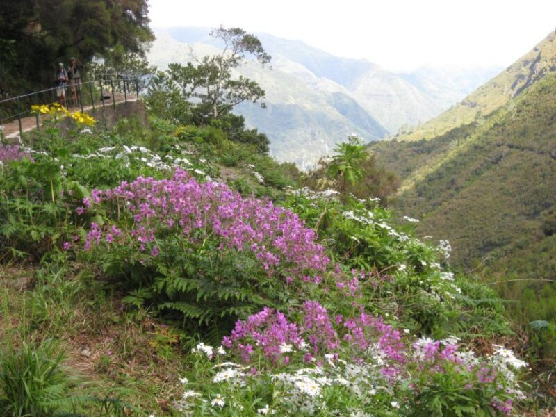 Madeira: Guided Full-Day Rabaçal Walk - Who will love this experience?