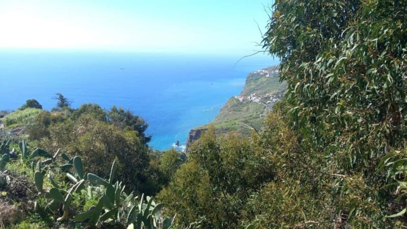 Madeira: Guided Wine Tasting and Scenic Walk - Key Points