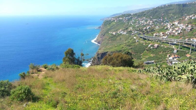Madeira: Guided Wine Tasting and Scenic Walk - The Sum Up