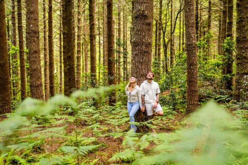 Madeira: Half-Day Guided Photo Tour - Key Points