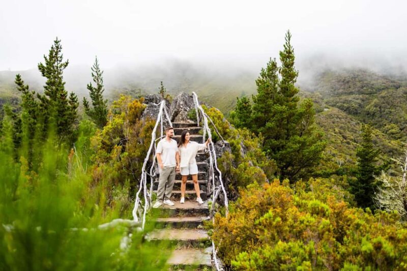 Madeira: Half-Day Guided Photo Tour - Who Should Consider This Tour?