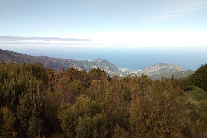 Madeira half-day old road west sidecar tour - FAQ