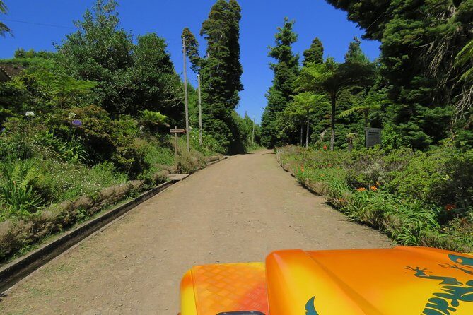 Madeira Highlights: Guided 4-Hour Tour from Funchal - Final Thoughts