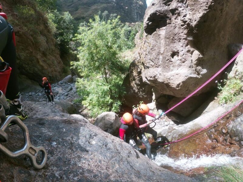Madeira: Intermediate (Level 2) Canyoning Experience - FAQ