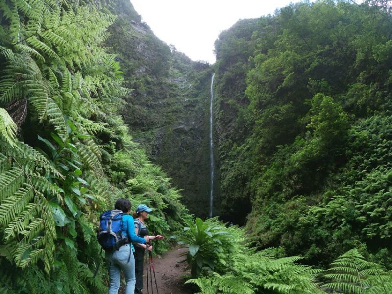 Madeira Island: Caldeirão Verde Levada Walk - Final Thoughts