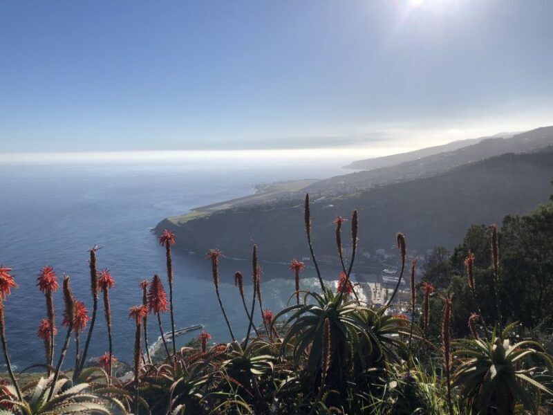 Madeira Island: Full-Day Guided Tour of Eastern Madeira - Who Should Book This Tour?