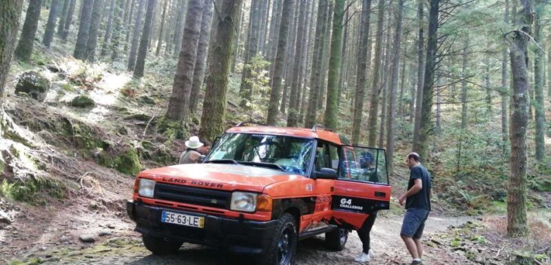 Madeira Island: Full-Day Guided Tour of Eastern Madeira - The Sum Up